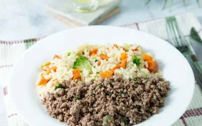 Carne moída e arroz com cenoura e brócolis